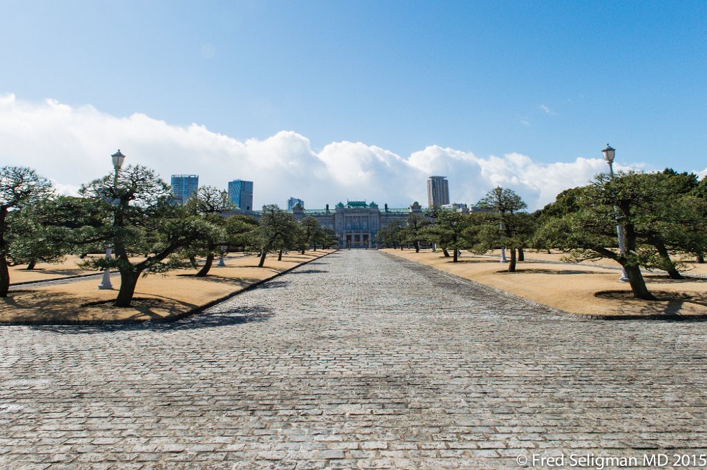 20150310_094945 D4S.jpg - Imperial Palace, Tokyo